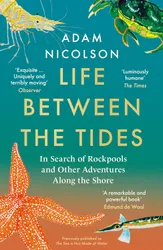 Life Between The Tides book cover